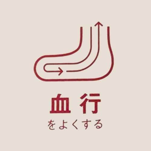 ひたちなか市キクチシングで取り扱っているヘルシオン。温熱治療で血行を良くします