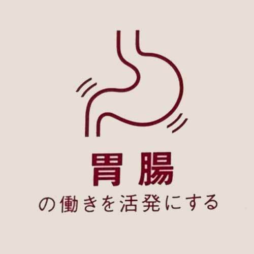 ひたちなか市キクチシングで取り扱っているヘルシオン。温熱治療で、胃腸の働きを活発にします