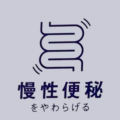 ひたちなか市キクチシングで取り扱っているヘルシオン。電位治療で、慢性便秘を和らげます